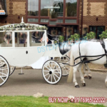 Fabulous AC Fitted Covered Horse Drawn Carriage