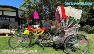 Outdoor Photobooth Section Rickshaw For Decoration